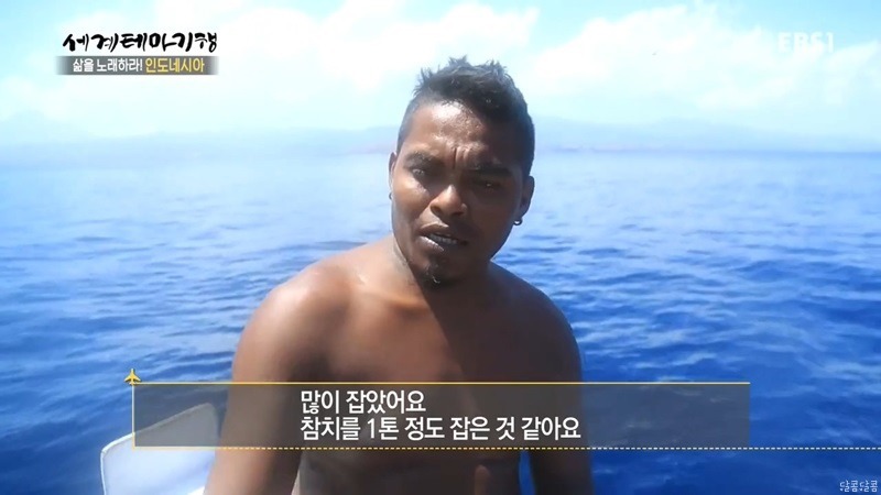 인도네시아의 참치 잡이 | 인스티즈