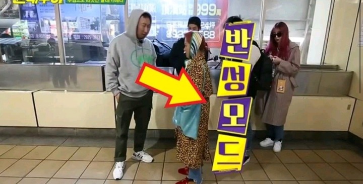 피디투어 이미지