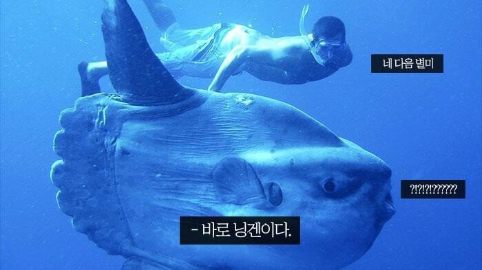 인간이 만물의 영장인 이유.jpg | 인스티즈