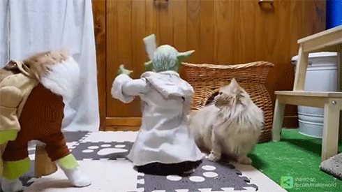 요다 장난감.gif | 인스티즈
