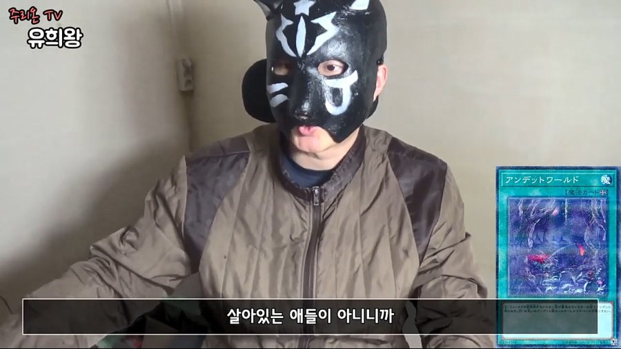 로하는 카드게임.jpg | 인스티즈