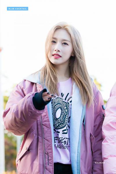소나무 의진.jpg | 인스티즈