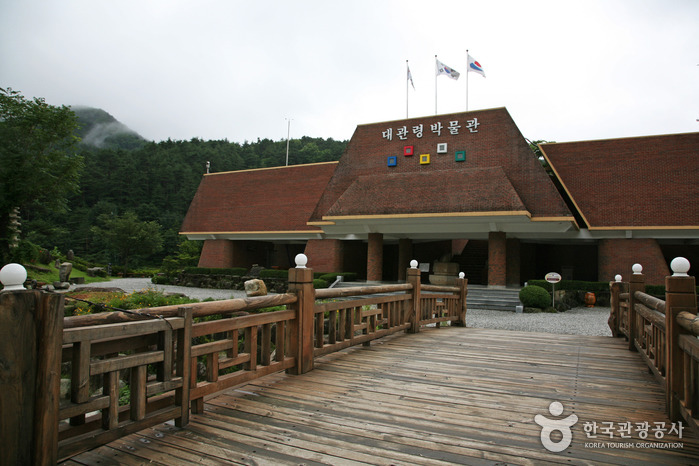 이러케 이미지