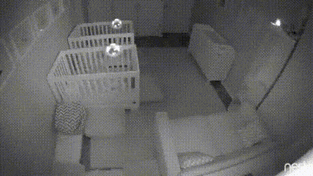 쌍둥이 육아의 어려움.gif | 인스티즈