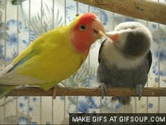 사람들 보는 앞에서 대놓고 딥키스 | 인스티즈