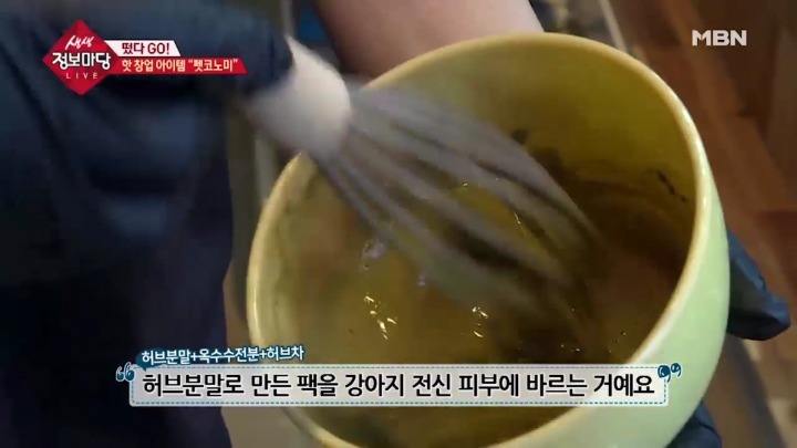 강아지 아로마테라피.jpg | 인스티즈