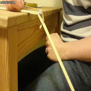 무릎앞 슬개골이 중요한 이유 | 인스티즈