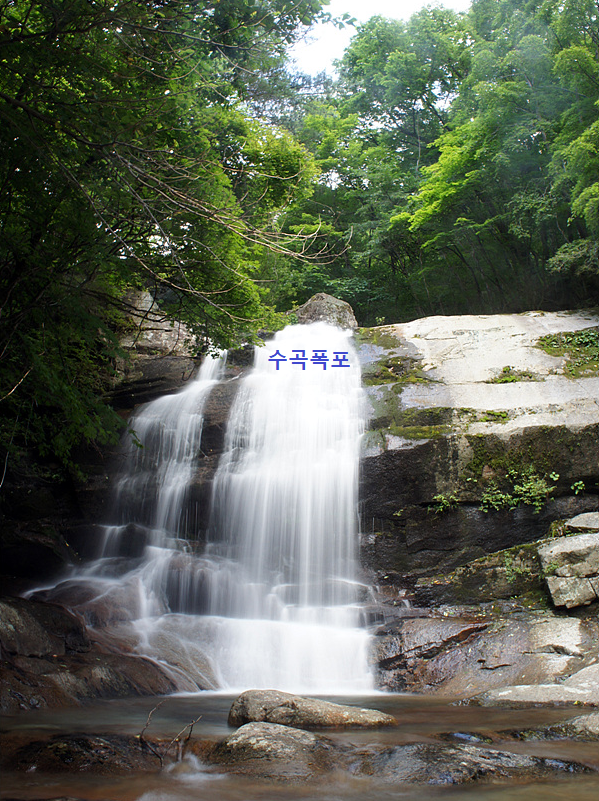 낙동강MX 이미지