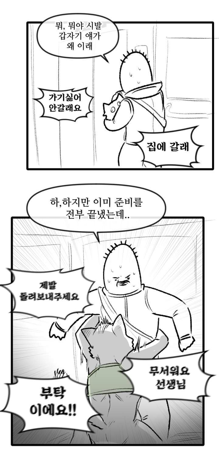 우리집 고양이 이야기.manhwa | 인스티즈