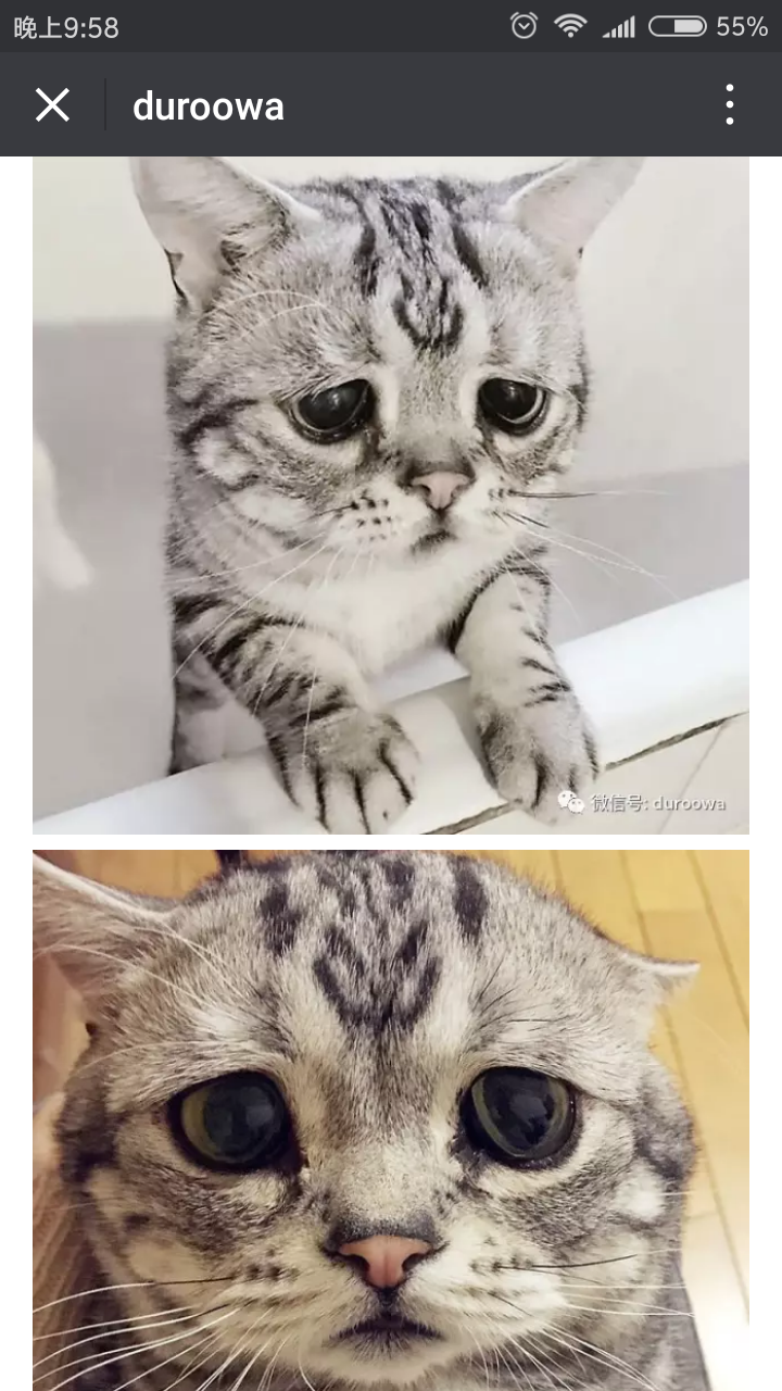 억울하다냥ㅠㅠ | 인스티즈