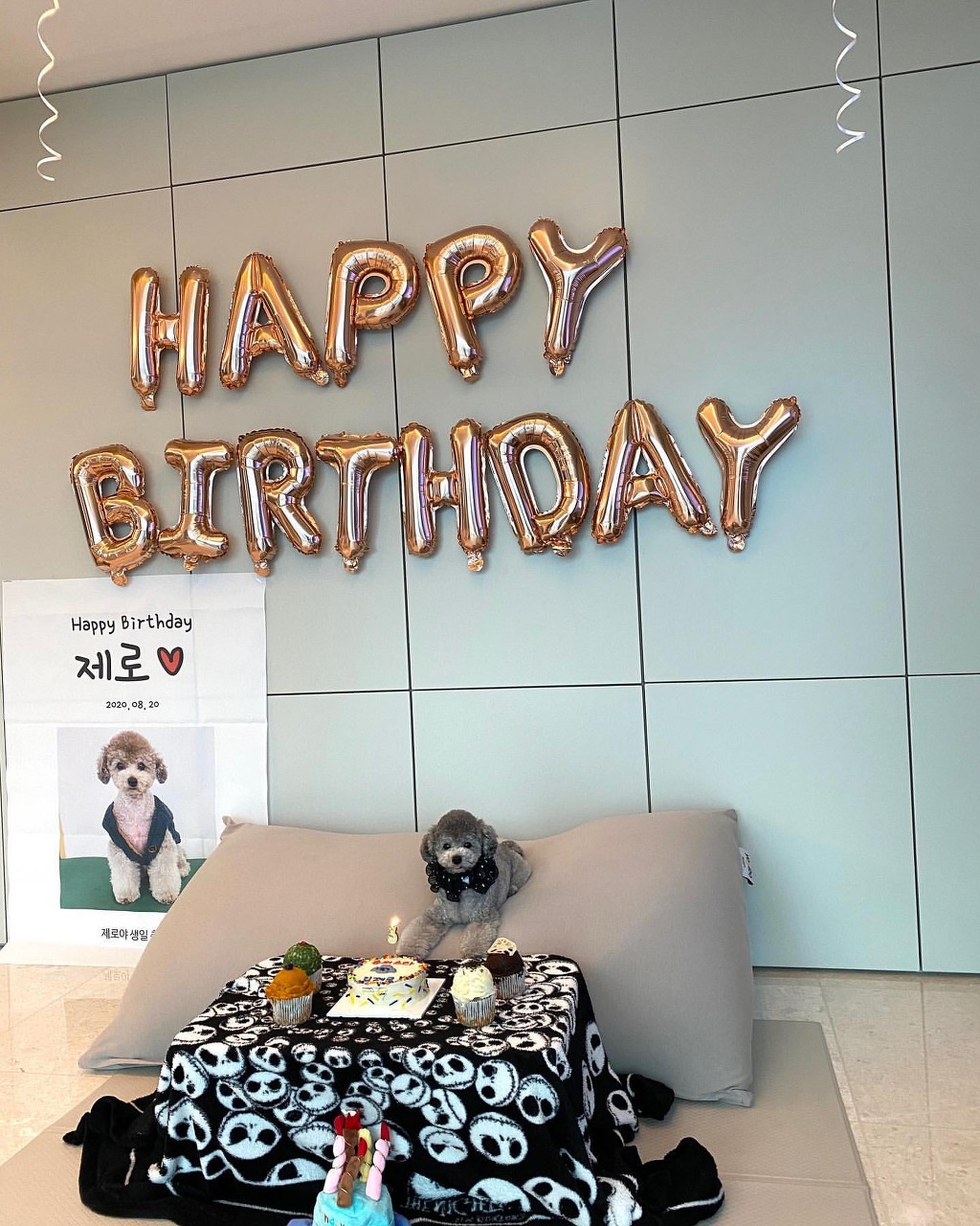 994DC93F5F3ECF46075CFC