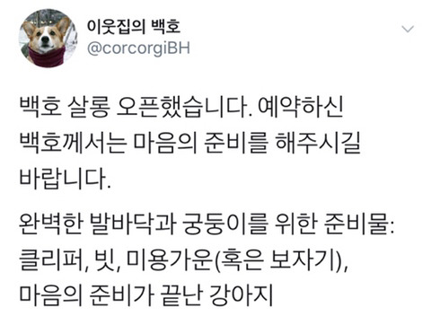 흔한 강아지의 셀프미용을 하는 이유 | 인스티즈
