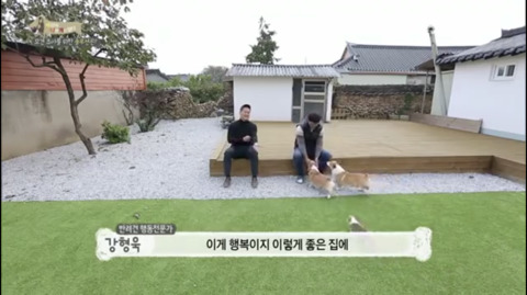 반려견 키우는 사람들은 99%가 안다는 그 사람.jpg | 인스티즈