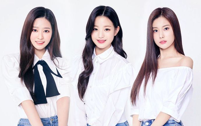 여초에서 의견이 많이 갈렸던 주제 (아이오아이, 아이즈원) | 인스티즈