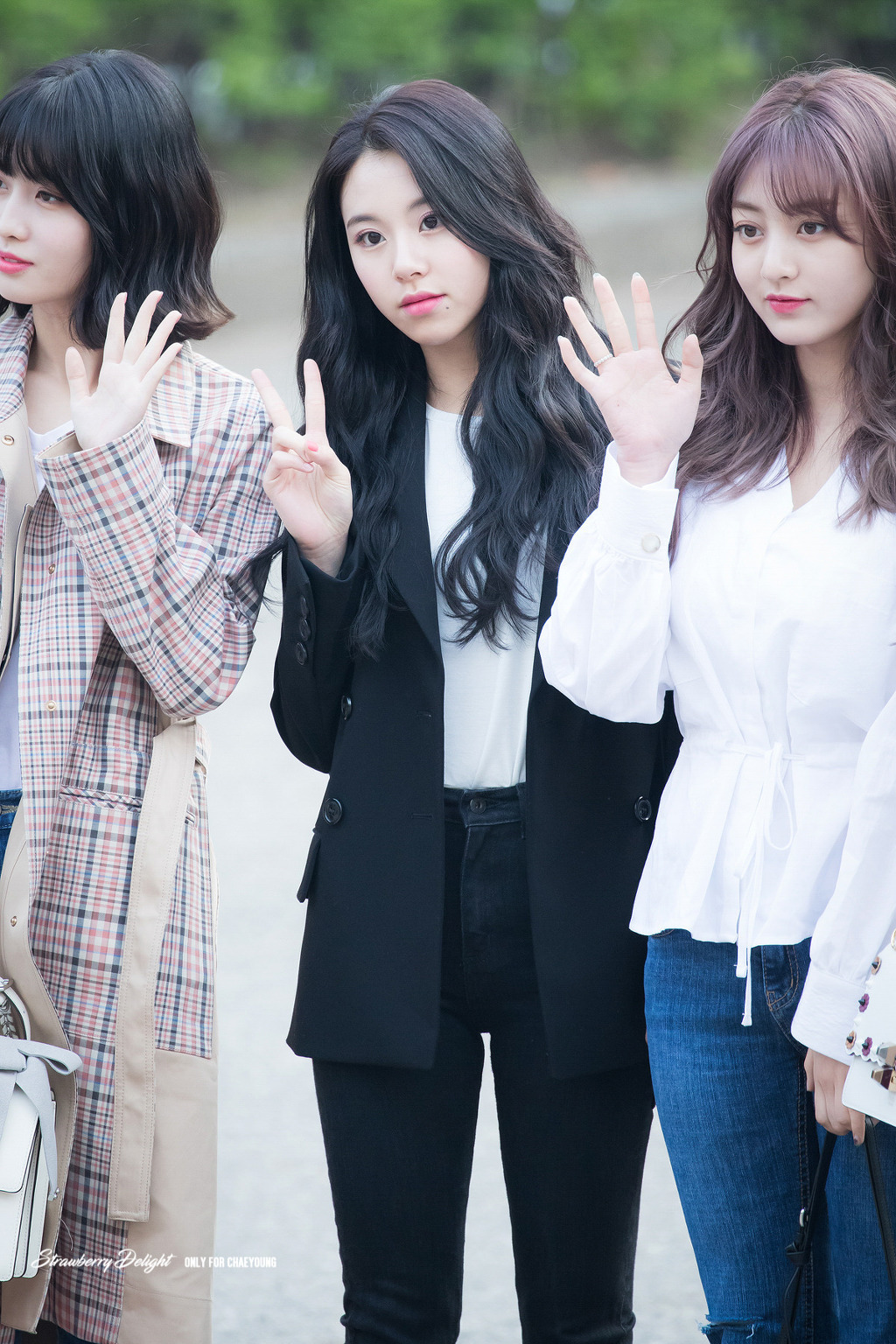 이제는 성인인 어른맹수 트와이스 채영| | 인스티즈