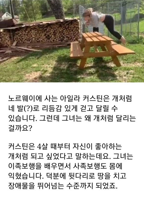 사족보행 이미지