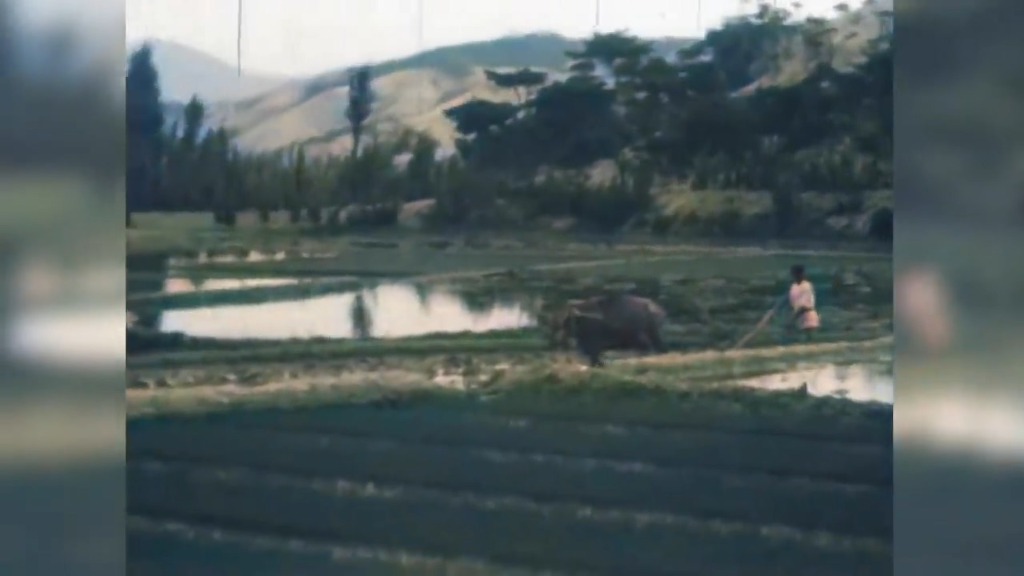 AI로 채색한 1930년대 한국의 모습 | 인스티즈