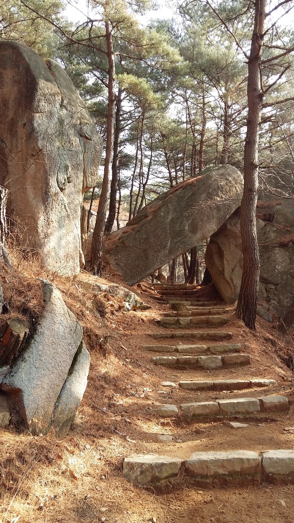 라라딸기 이미지