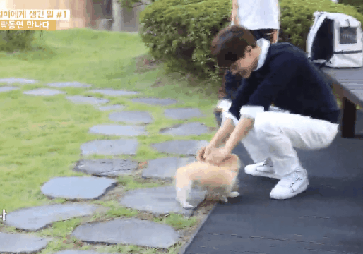 절미가 커버려서 좋아요 누르기 망설여진다는 댓글에 절미 언니 | 인스티즈