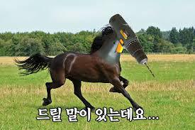 루시아 이미지