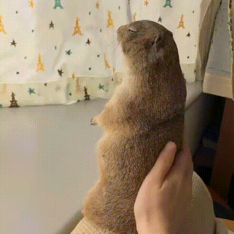 계속하라고.gif | 인스티즈