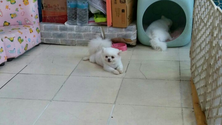 엄마커피 이미지