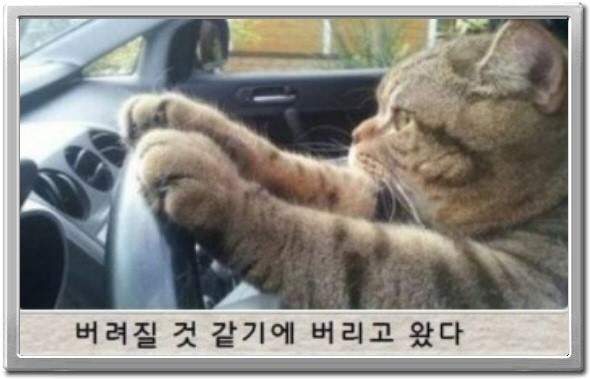 제목학원 레전드 모음 (귀여운것들 섞여잇음) | 인스티즈