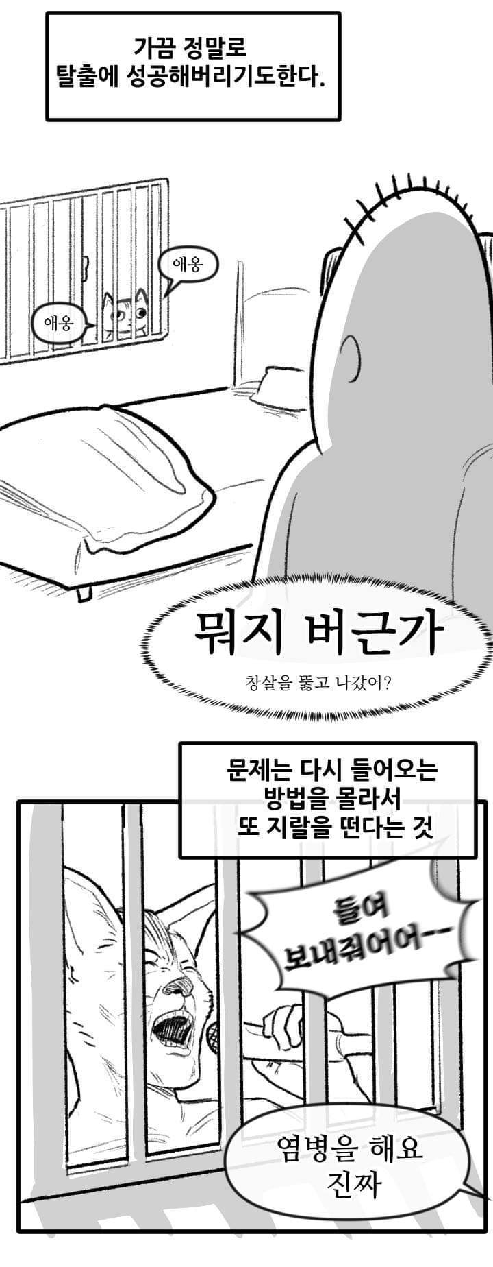 우리집 고양이 이야기.manhwa | 인스티즈