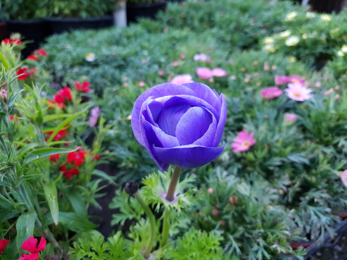 996AF33C5CB2B73B0F3DF6