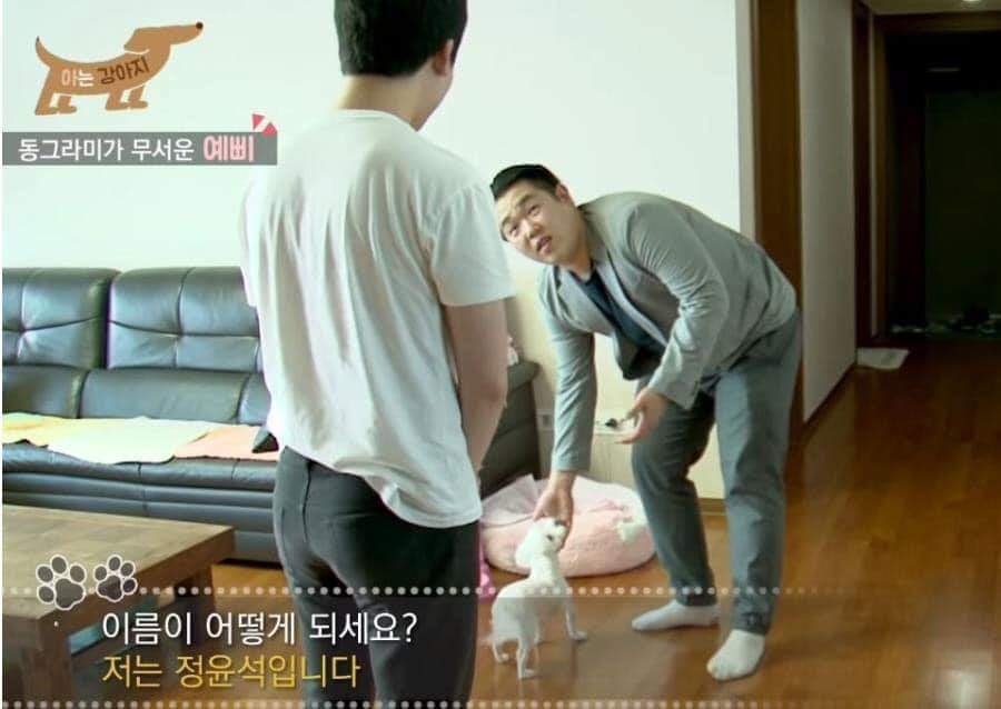 강아지 조련사 가정방문 대참사 | 인스티즈