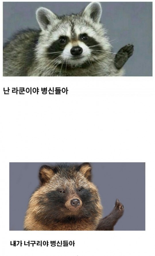 난 너굴맨이 아니야 | 인스티즈