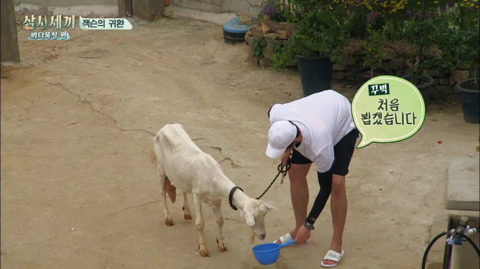 [삼시세끼] 처음 본 잭슨 때문에 놀라서 귱집사 팔 꼬옥 붙드는 고양이 쿵이.gif | 인스티즈
