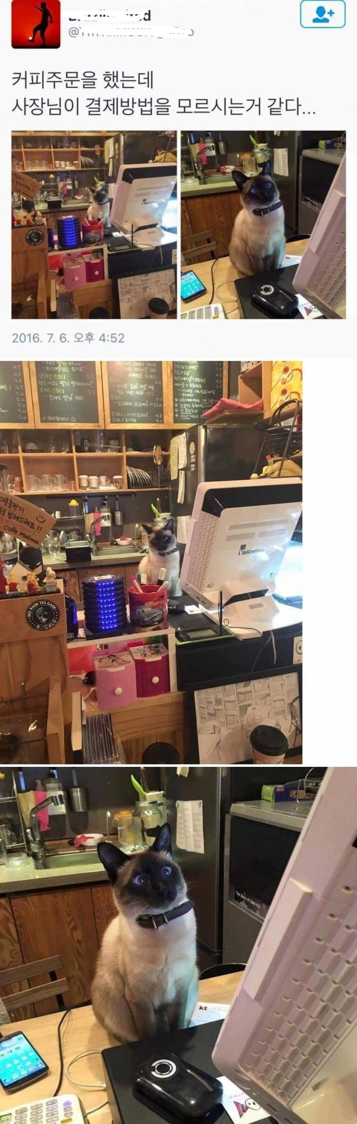 카페에 갔는데 사장님이 | 인스티즈