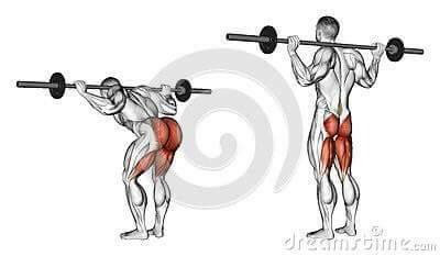 각 운동 방법에 따라 자극되는 근육 | 인스티즈