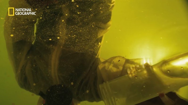 댈롤 화산: 지옥과 같은 이곳에 사는 단 하나의 생명체 | 인스티즈