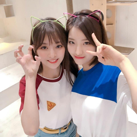 냥이까페간 프로미스 나인 | 인스티즈
