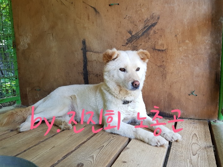 같이 이미지