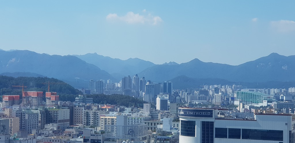 시청옥상에서 | 인스티즈