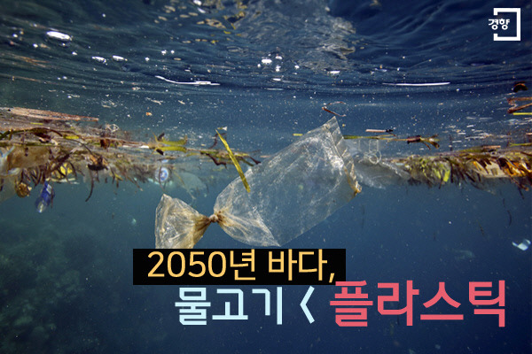 플라스틱카페 이미지