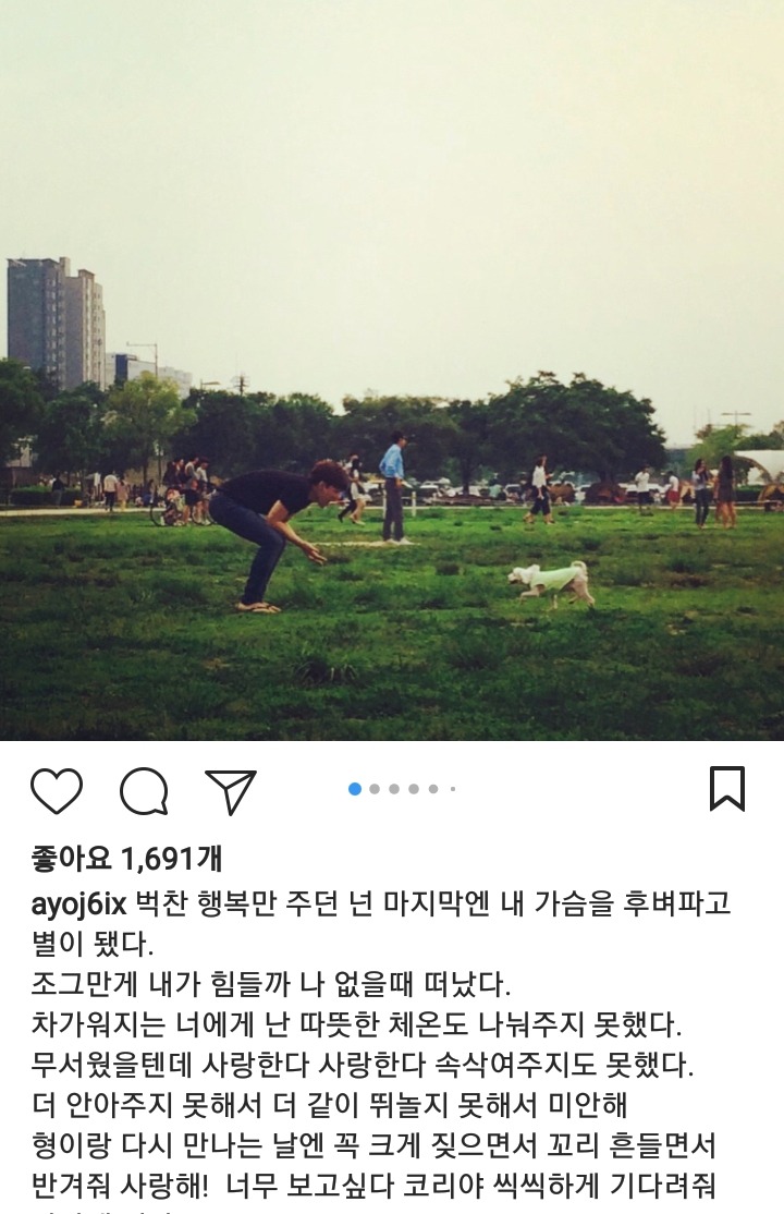 러시아 출장 중 댕댕이가 세상을 떠난 조정식 아나운서 | 인스티즈