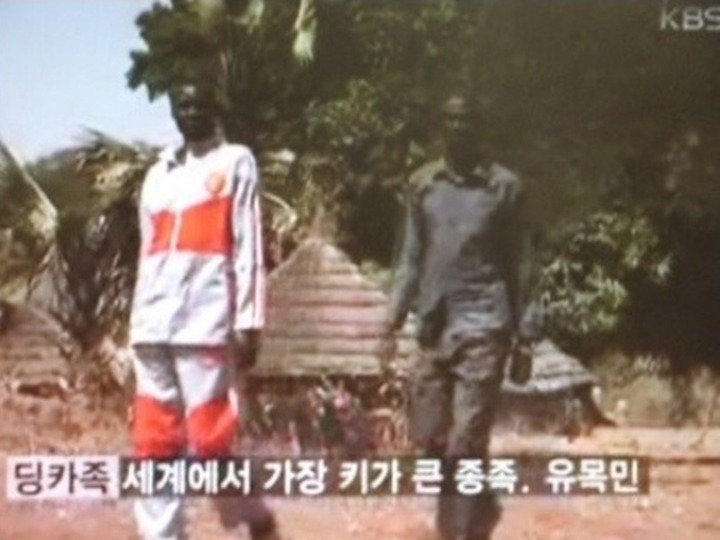 남자 평균키 190cm, 세계에서 가장 큰 종족 '딩카족'.jpg | 인스티즈