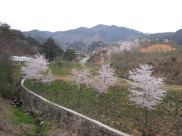 시목 주유소 이미지