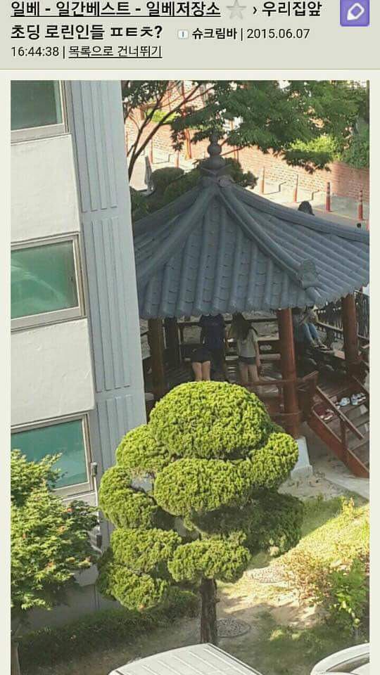 일베에 로린이를 검색해보았다 (혐오주의) | 인스티즈
