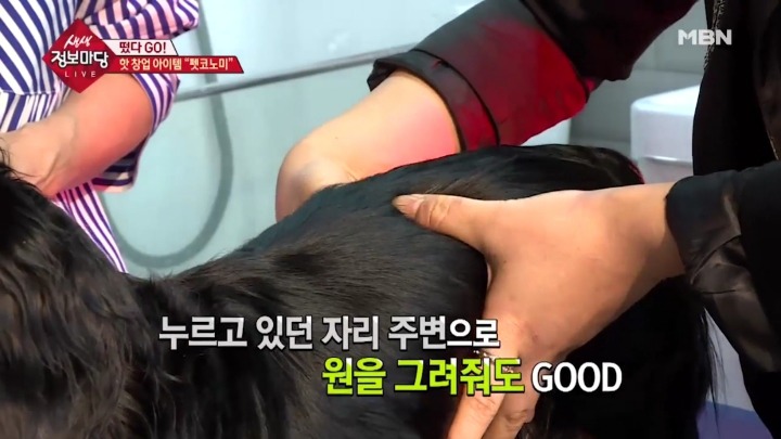 강아지 아로마테라피.jpg | 인스티즈