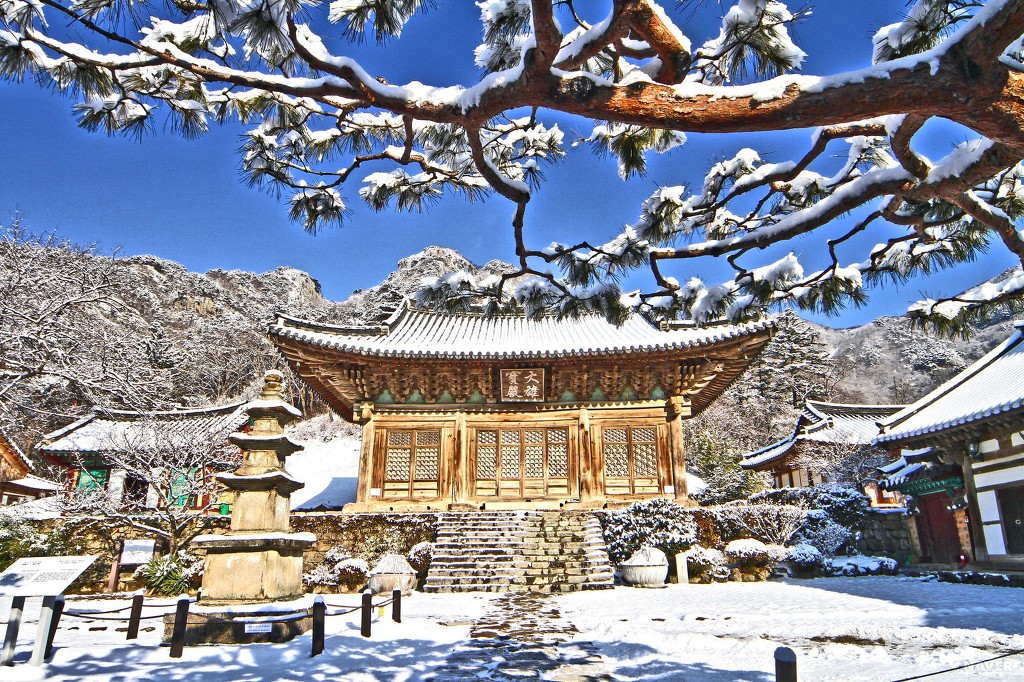 환이조아 이미지