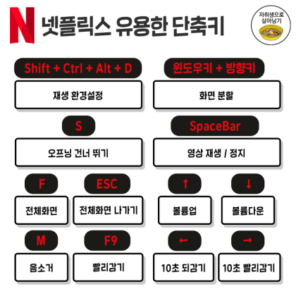 넷플릭스 꿀팁.jpg | 인스티즈