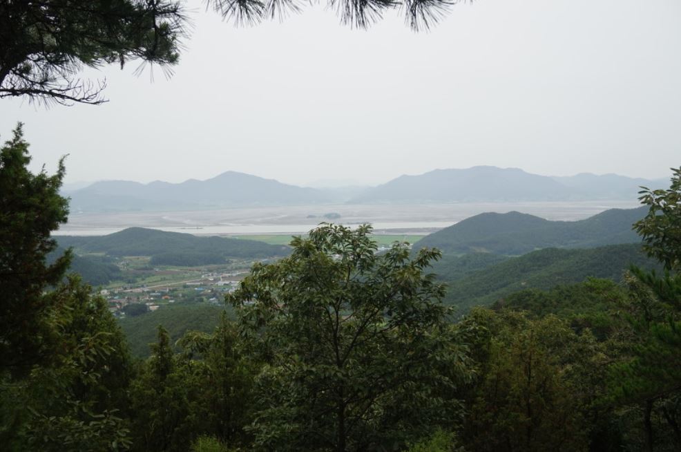 치코스 이미지