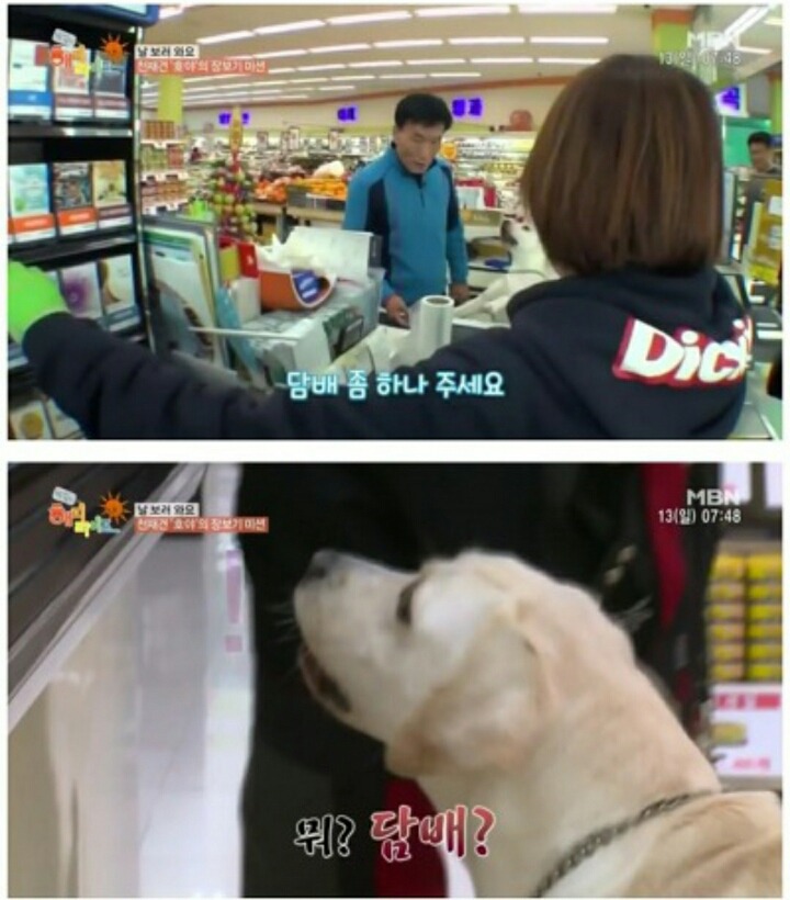호야농장 이미지