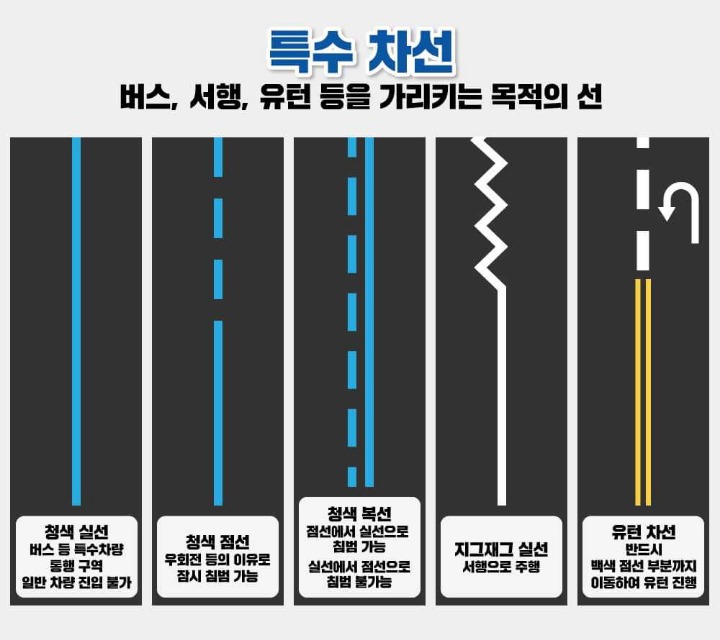 대한민국 차선종류 | 인스티즈