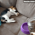악마를 소환하는 방법.gif | 인스티즈